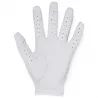 UA IsoChill Men Golf Glove